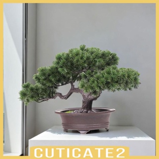[Cuticate2] ชั้นวางกระถางต้นไม้บอนไซประดิษฐ์ ทนทาน สําหรับตกแต่งห้องสมุด ออฟฟิศ