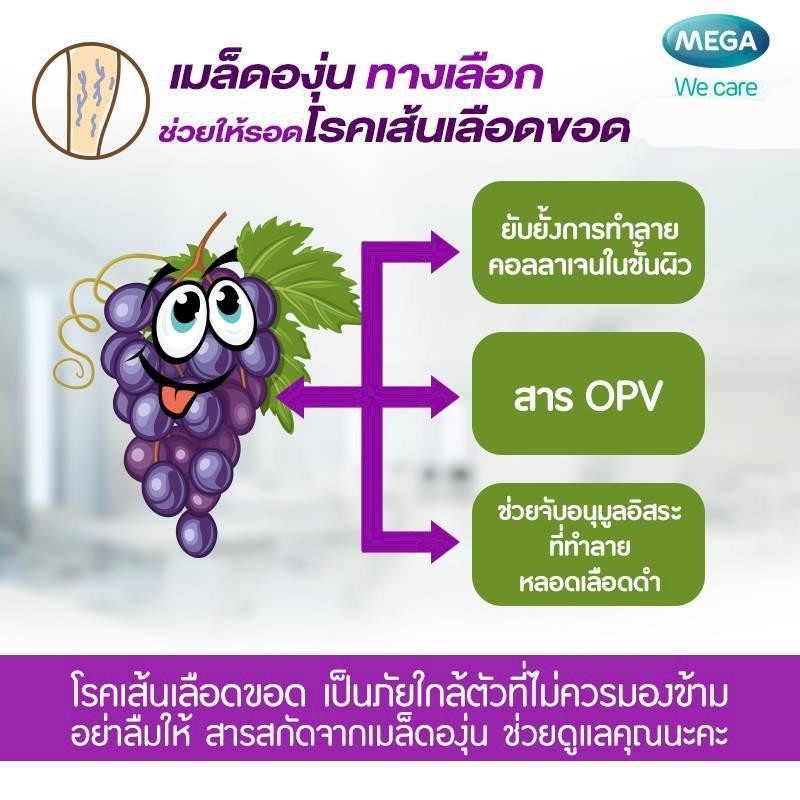 แพ็ค-2-mega-grape-seed-extract-20mg-20-แคปซูล-ผลิตภัณฑ์เสริมอาหารสารสกัดจากเมล็ดองุ่น