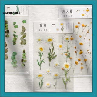 [CF] สติกเกอร์ ลายดอกไม้ธรรมชาติ กันน้ํา ใช้กันอย่างแพร่หลาย สําหรับติดตกแต่งสมุด อัลบั้ม 2 ชิ้น