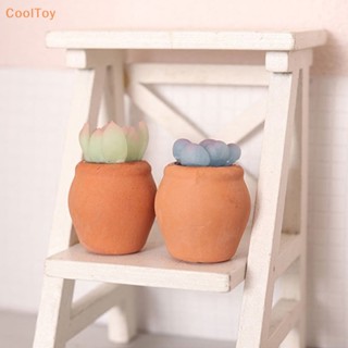 Cooltoy โมเดลกระถางไม้อวบน้ําจิ๋ว 1:12 อุปกรณ์เสริม สําหรับตกแต่งบ้านตุ๊กตา สวน