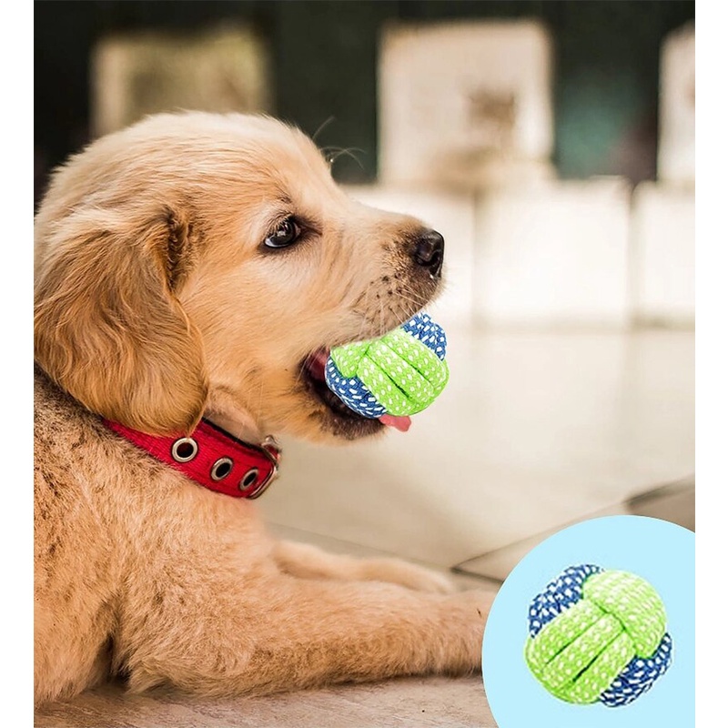 ของเล่นสุนัข-ขนาดเล็ก-ขนาดกลาง-ของเล่นโต้ตอบ-สําหรับสุนัข-ของเล่นเคี้ยว-รุนแรง-แปรงสีฟัน-อุปกรณ์เสริมสําหรับสัตว์เลี้ยง-ลูกสุนัข