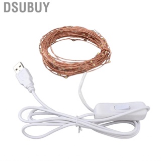 Dsubuy 10M 100 LEDs  Light String USB Operated Copper Wire Lights DIY