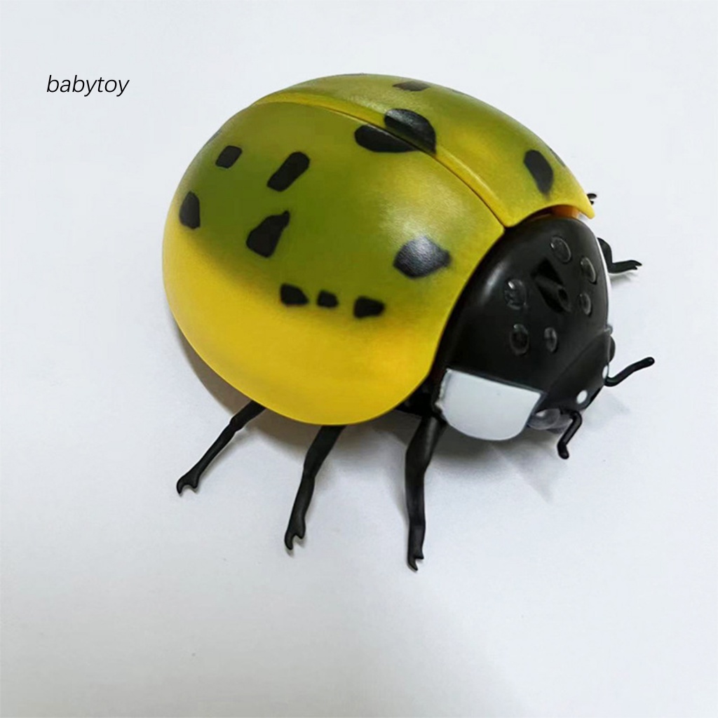 baby-แมลงสาบพลาสติกจําลอง-ของเล่นสําหรับเด็ก-แมลงสาบไฟฟ้า-แมลงเต่าทอง-ของเล่นสัตว์เลี้ยง-เด็ก-เทศกาล-ของขวัญล่วงหน้าอัตโนมัติ-1-ชุด
