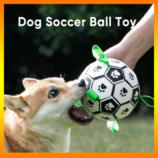 [Calamus] ของเล่นลูกบอลกระดิ่ง ขนาดเล็ก และกลาง สําหรับสัตว์เลี้ยง สุนัข