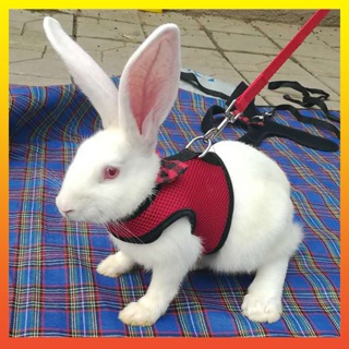 [Calamus] สายรัดหน้าอก ผ้าตาข่าย ปรับได้ สําหรับสัตว์เลี้ยง กระต่าย หนูแฮมสเตอร์ ขนาดเล็ก