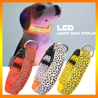 [Calamus] ปลอกคอสัตว์เลี้ยง สุนัข มีไฟ LED พิมพ์ลายเสือดาว ปรับได้ เพื่อความปลอดภัย สําหรับสุนัขขนาดเล็ก ถึงขนาดใหญ่