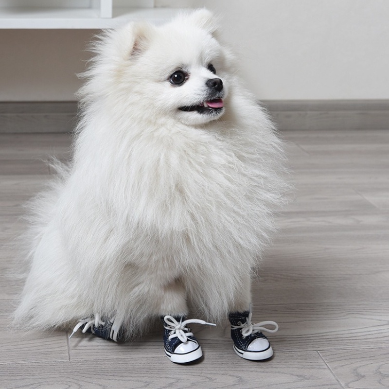 daliya-รองเท้าผ้าใบ-ระบายอากาศ-กันลื่น-สําหรับสัตว์เลี้ยง-สุนัข-ขนาดใหญ่-กลาง-และเล็ก-4-ชิ้น-ต่อชุด