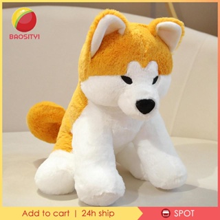 [Baosity1] หมอนตุ๊กตานุ่ม รูปสุนัข Akita น่ารัก ของขวัญวันเกิด สําหรับบ้าน ออฟฟิศ