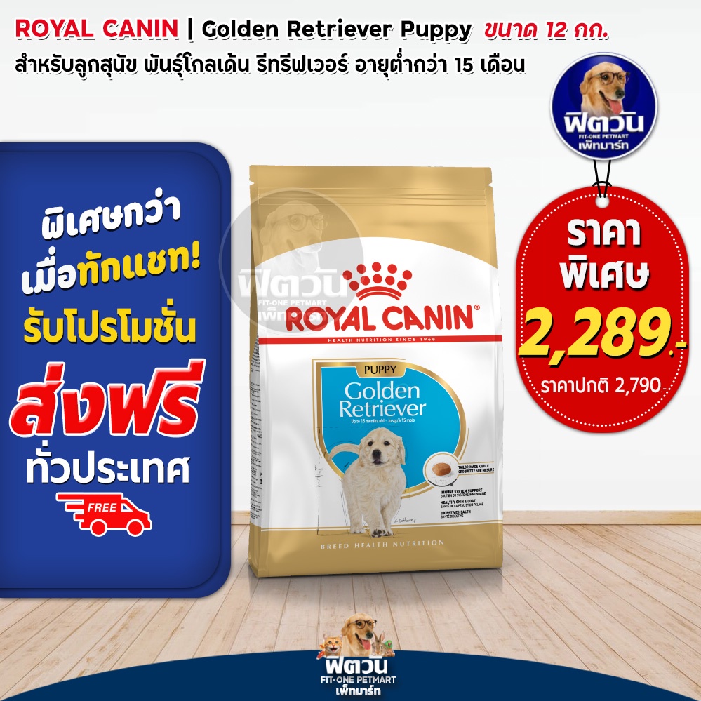 royal-canin-golden-retriever-puppy-ลูกสุนัข-สูตรเฉพาะสายพันธ์-12-กิโลกรัม