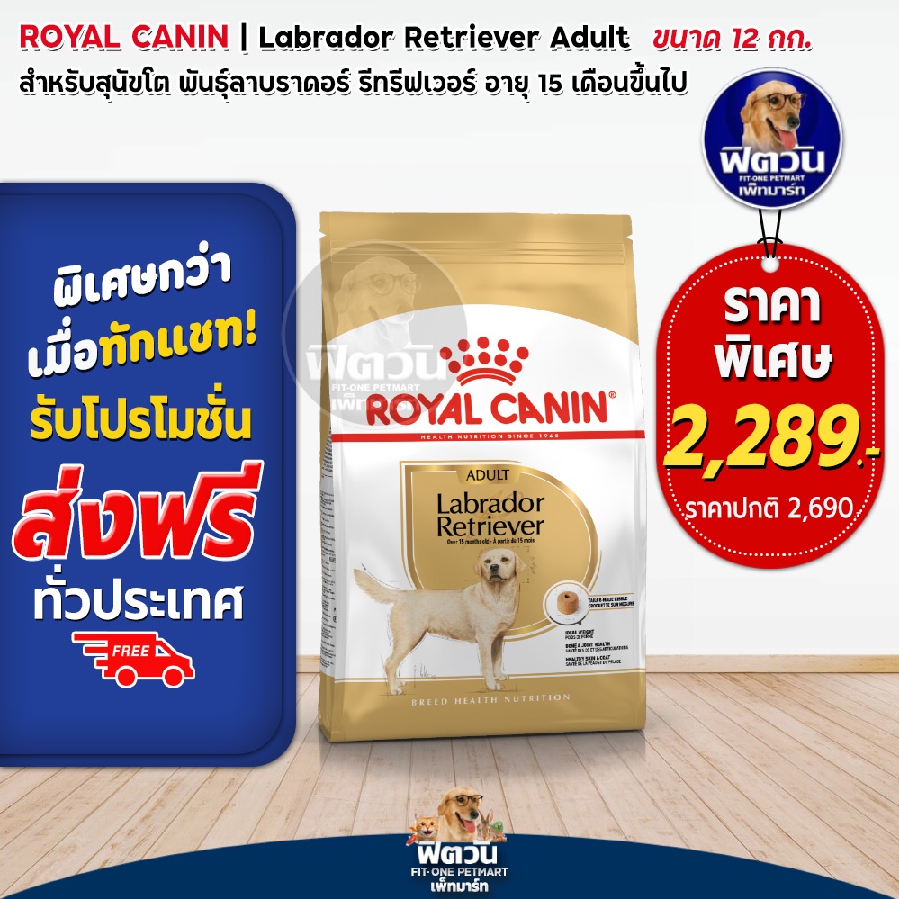 royal-canin-labrador-adult-สุนัข1ปีขึ้นไป-สูตรเฉพาะสายพันธ์-กระสอบ-12-กิโลกรัม