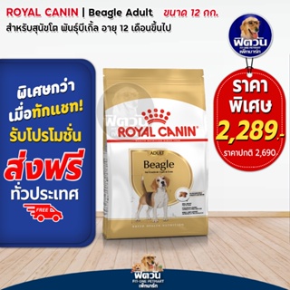 ROYAL CANIN- Beagle Adult สุนัข1-6ปี ขนาด 12 กก.