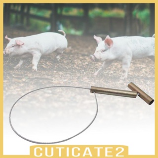 [Cuticate2] อุปกรณ์จับหมู สําหรับสุนัข แพะ จระเข้
