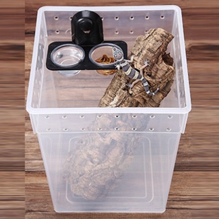 High Quality Sale Fashionable Hot Sale Reptile Feeder ABS Food Holder Pot
