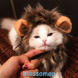 Blossomea เครื่องแต่งกายสัตว์เลี้ยง แผงคอสิงโตน่ารัก สร้างสรรค์ สําหรับสุนัข แมว