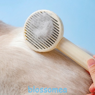Blossomea แปรงหวีขนสัตว์เลี้ยง แบบสั้น อุปกรณ์เสริม สําหรับสุนัข แมว