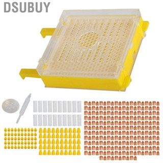 Dsubuy Apiculture System Kit Bee Rearing Box Beekeeping Grafti