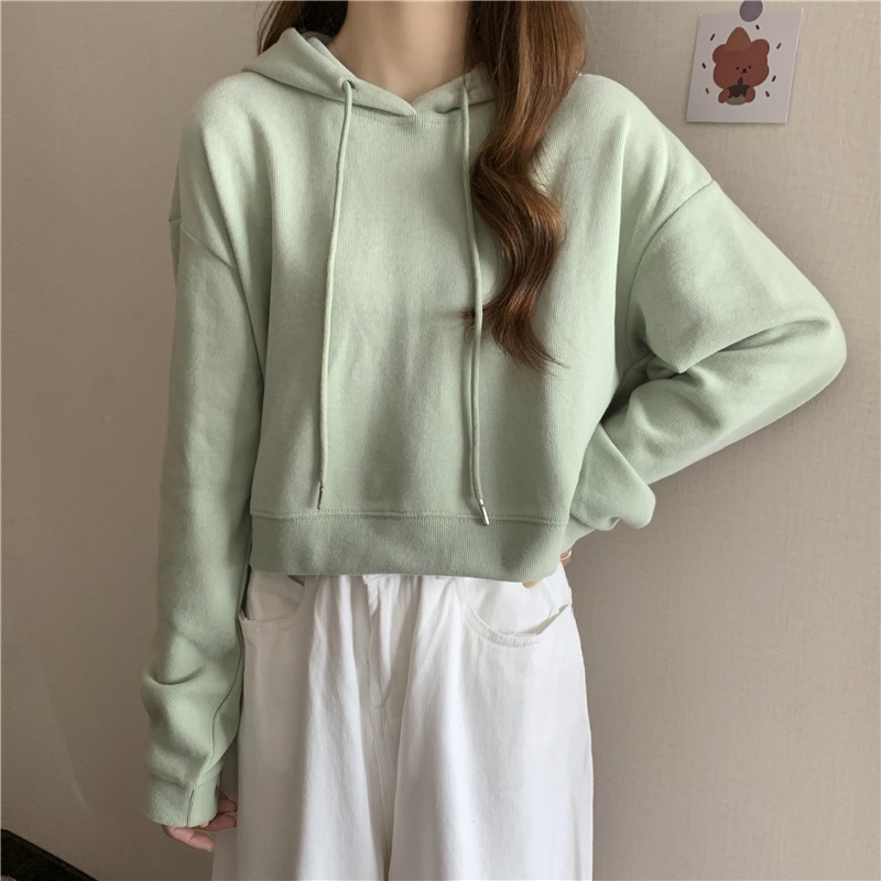 เสื้อแจ็กเก็ตกันหนาวแขนยาว-มีฮู้ด-ผ้าฟลีซ-ทรงหลวม-ขนาดเล็ก-250-กรัม-แฟชั่นฤดูใบไม้ผลิ-และฤดูใบไม้ร่วง-สําหรับผู้หญิง