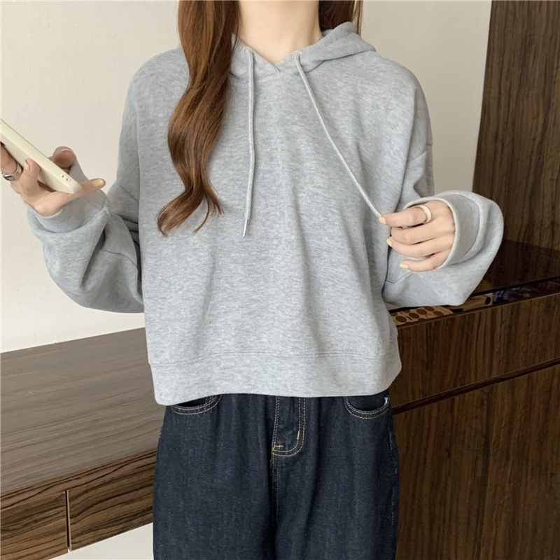 เสื้อแจ็กเก็ตกันหนาวแขนยาว-มีฮู้ด-ผ้าฟลีซ-ทรงหลวม-ขนาดเล็ก-250-กรัม-แฟชั่นฤดูใบไม้ผลิ-และฤดูใบไม้ร่วง-สําหรับผู้หญิง