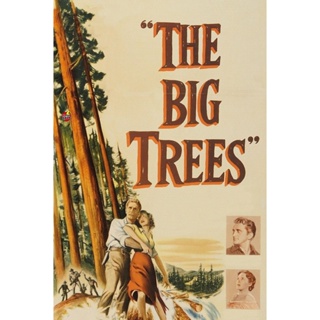 DVD ดีวีดี The Big Trees (1952) สุภาพบุรุษในป่าใหญ่ (เสียง ไทย/อังกฤษ | ซับ ไม่มี) DVD ดีวีดี