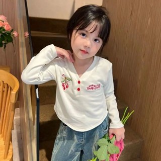 พร้อมส่ง ขายดี เสื้อยืดแขนยาว คอวี ปักลาย สไตล์เกาหลี ญี่ปุ่น แฟชั่นฤดูใบไม้ผลิ ฤดูใบไม้ร่วง สําหรับผู้หญิง