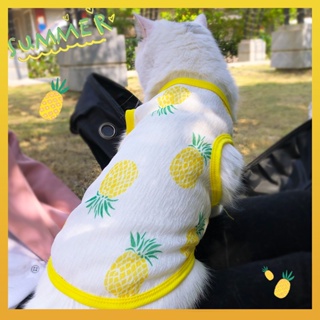 [Daliya] เสื้อกั๊ก กันแดด ระบายอากาศ แฟชั่นฤดูร้อน สําหรับสัตว์เลี้ยง สุนัข แมว