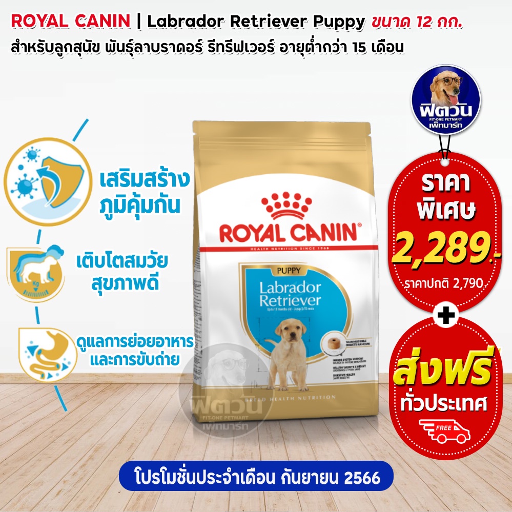 royal-canin-labrador-retrieverpuppyลูกสุนัข-2-15เดือน-พันธุ์ลาบราดอร์-12-กิโลกรัม