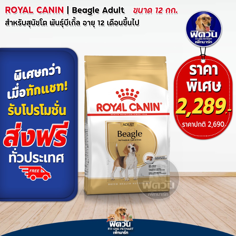 royal-canin-beagle-adult-สุนัข10เดือนขึ้นไป-พันธุ์บีเกิ้ล-12-กิโลกรัม