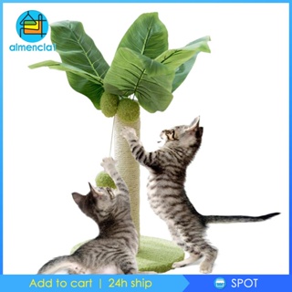 [Almencla1] ไม้ข่วน พร้อมลูกบอลแขวน ทนทาน สําหรับสัตว์เลี้ยง แมว
