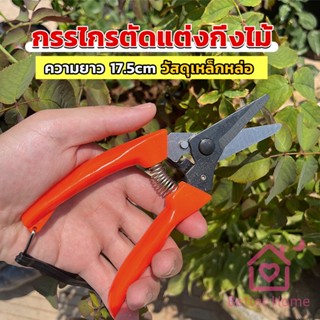 Better กรรไกรแต่งกิ่งไม้ เหล็กคาร์บอน สำหรับใช้ในสวน ด้ามกระชับมือ garden shears