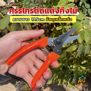 Ahlanya กรรไกรแต่งกิ่งไม้ เหล็กคาร์บอน สำหรับใช้ในสวน ด้ามกระชับมือ garden shears