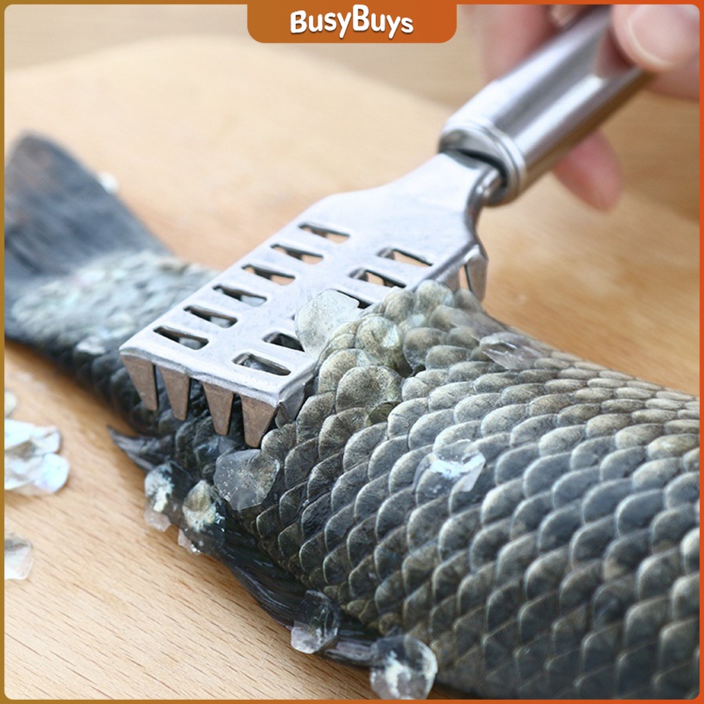 b-b-ที่ขูดเกล็ดปลา-ที่ขอดเกล็ด-สแตนเลส-เครื่องใช้ในครัว-fish-scale-scraper