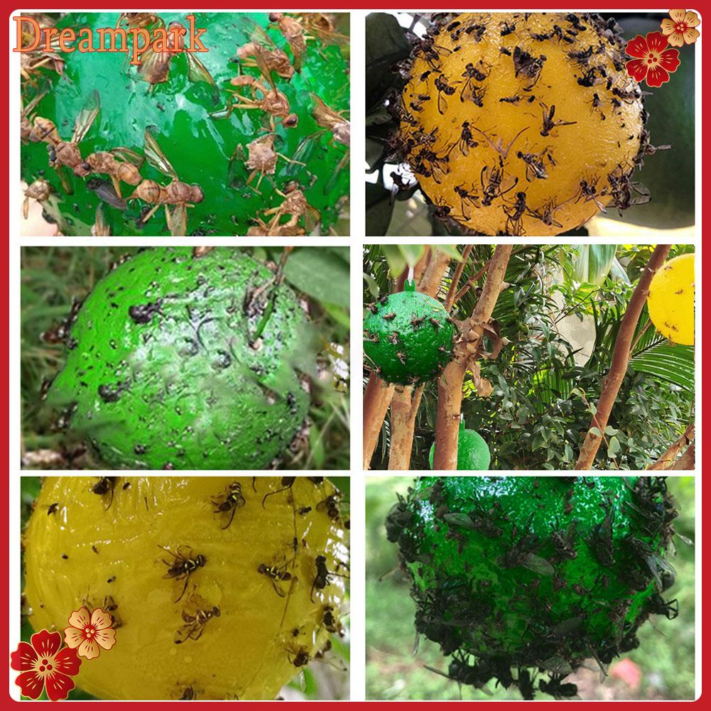 กับดักแมลงวันผลไม้-ลูกแมลง-ลูกบอลเหนียว-แมลงวันผลไม้-ล่อแมลงวัน-บอลเมล่อน-เข็มบินผลไม้-ผึ้ง-สวนผลไม้