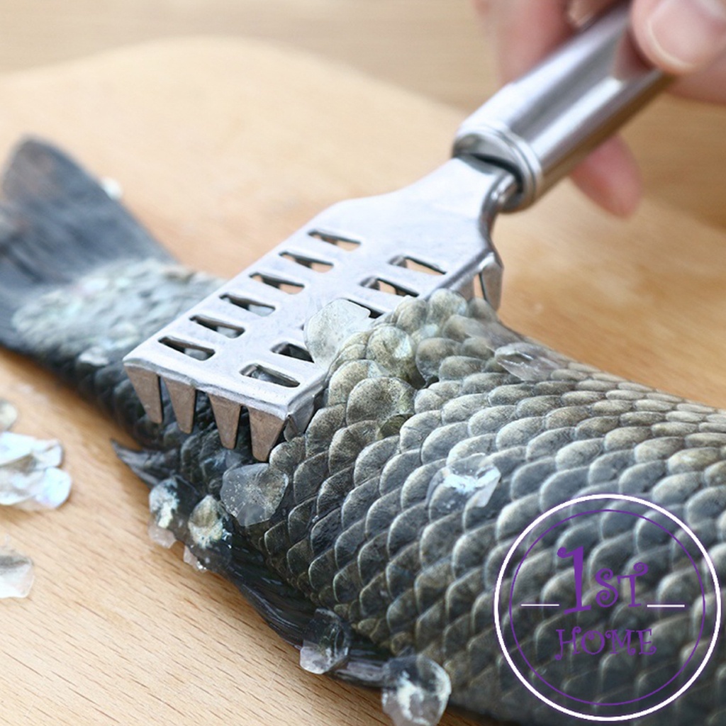 ที่ขูดเกล็ดปลา-ที่ขอดเกล็ด-สแตนเลส-เครื่องใช้ในครัว-fish-scale-scraper