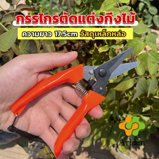 Arleen กรรไกรแต่งกิ่งไม้ เหล็กคาร์บอน สำหรับใช้ในสวน ด้ามกระชับมือ garden shears