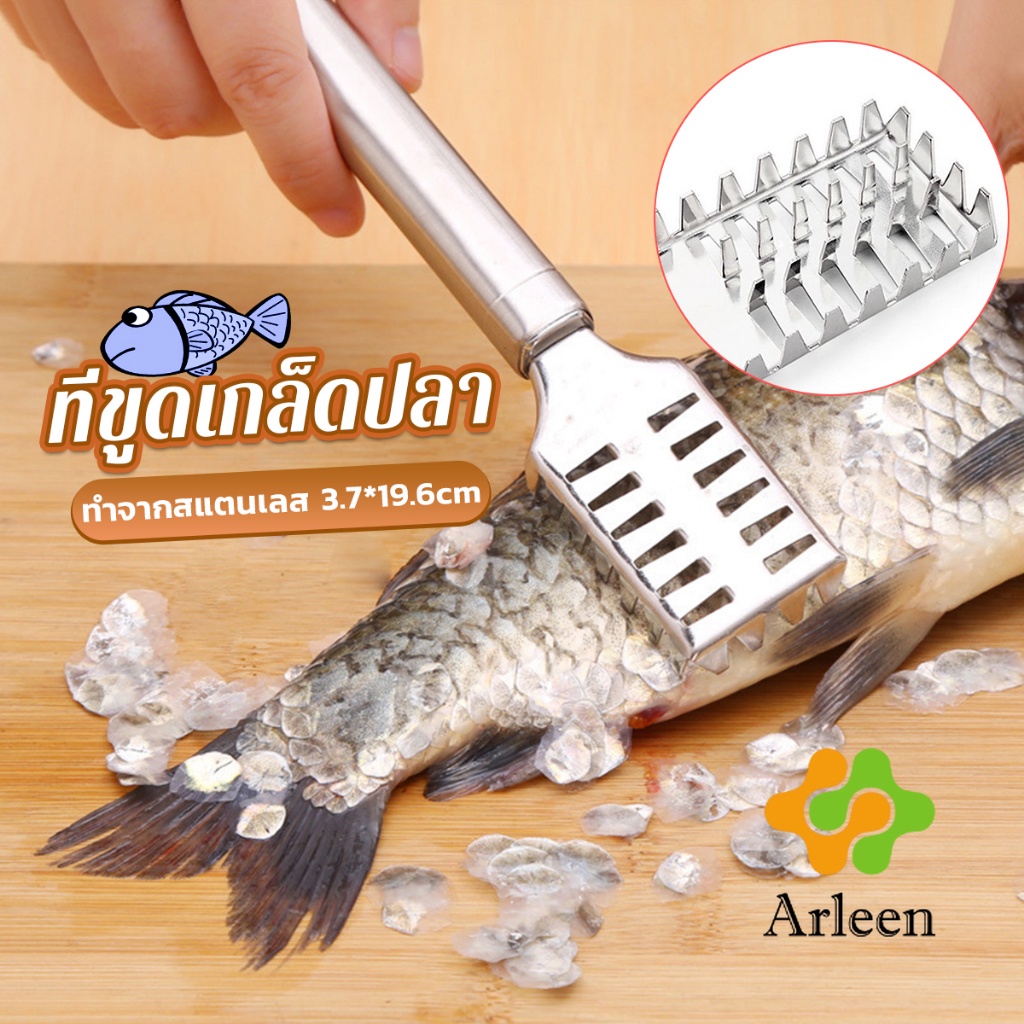 arleen-ที่ขูดเกล็ดปลา-ที่ขอดเกล็ด-สแตนเลส-เครื่องใช้ในครัว-fish-scale-scraper