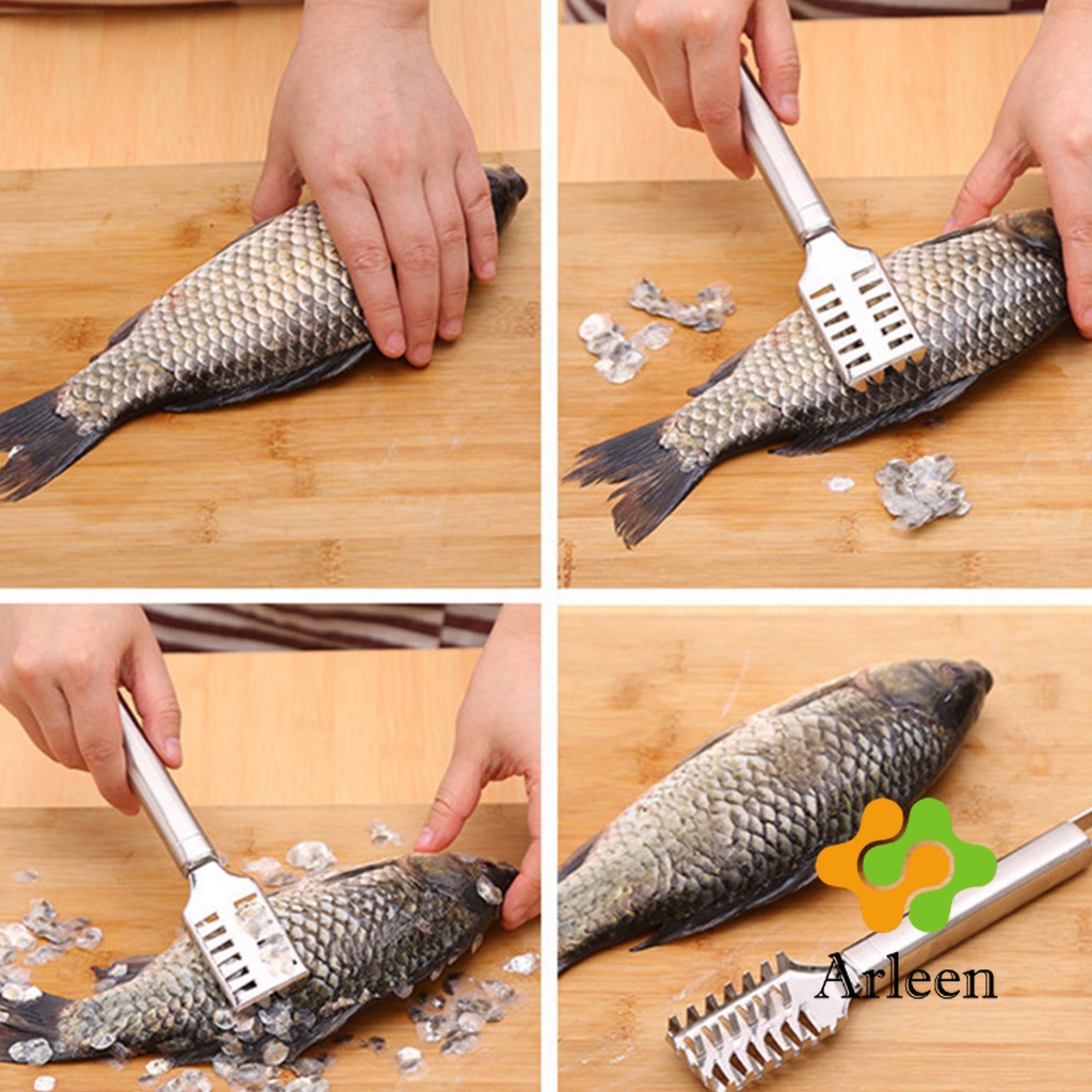 arleen-ที่ขูดเกล็ดปลา-ที่ขอดเกล็ด-สแตนเลส-เครื่องใช้ในครัว-fish-scale-scraper