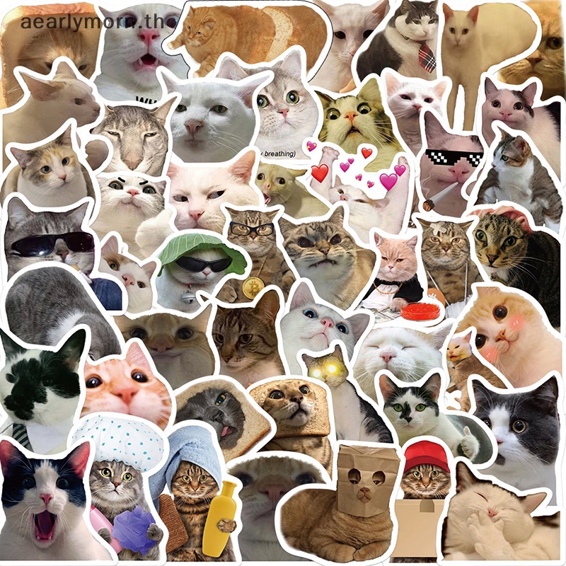 aa-สติกเกอร์-ลายกราฟฟิตี้แมว-meme-animals-ของเล่นสําหรับเด็ก-โน้ตบุ๊ก-แล็ปท็อป-50-ชิ้น