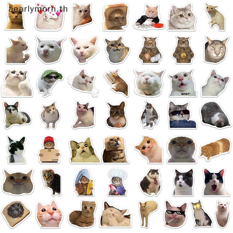 aa-สติกเกอร์-ลายกราฟฟิตี้แมว-meme-animals-ของเล่นสําหรับเด็ก-โน้ตบุ๊ก-แล็ปท็อป-50-ชิ้น