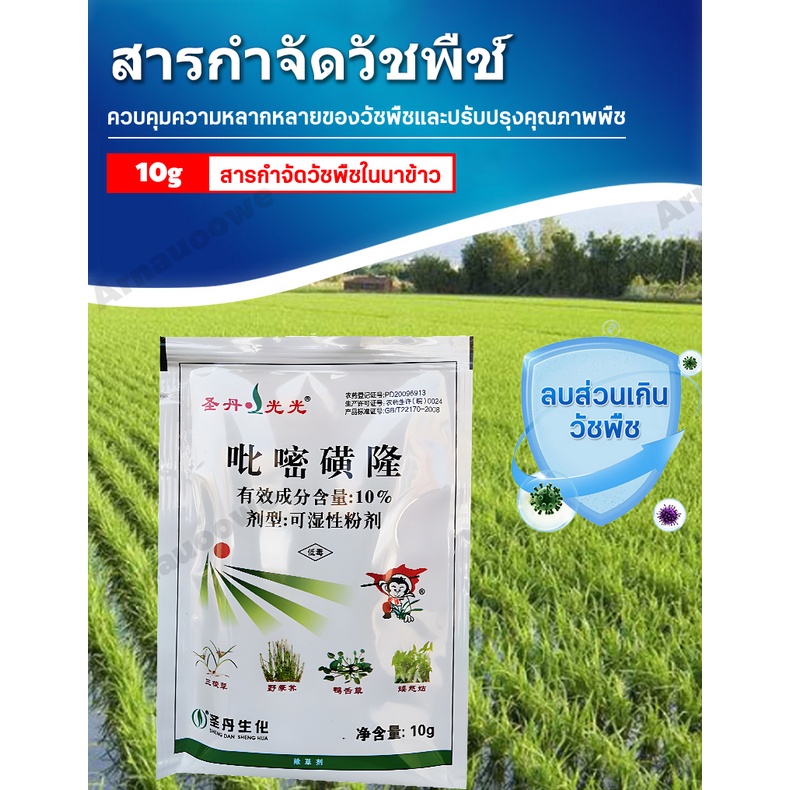 วัชพืช-ไม่ทำร้ายข้าว-ยาคุมหญ้าข้าว-คุมฆ่าในนาข้าว-เข้มข้นสุดๆ-10g-กำจัดหญ้าในนาข้าว-นาหว่าน-หญ้าข้าวนก-วัชพืชใบกว้าง