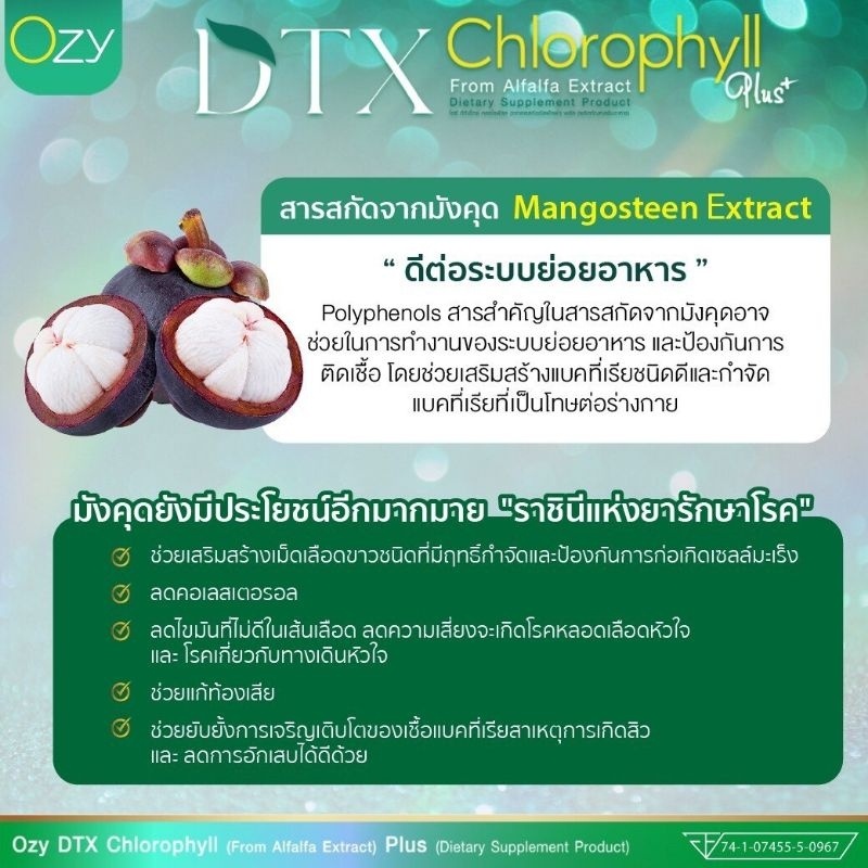 ozy-dtx-คลอโรฟิลล์-พี่หนิง-ปณิตา-คลอโรฟิลล์-จาก-อัลฟาฟ่าสกัด-detox-เลือด-ช่วยฟอกเลือด-และน้ำเหลือง-ร้าน-bebby-zz