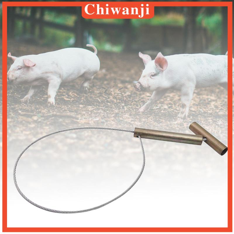 chiwanji-ที่จับหมู-สเตนเลส-สําหรับสัตว์เลี้ยง-สุนัข