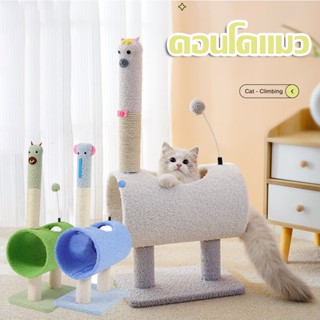 🐱COD🐱คอนโดแมว ที่นอนแมว สูง 17 cm ที่ลับเล็บแมว ของเล่นแมว อุปกรณ์สัตว์เลี้ยง