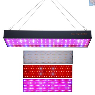 Doubth แผงไฟปลูกพืชไฮโดรโปนิก LED 1000W สําหรับปลูกพืชในร่ม เรือนกระจก