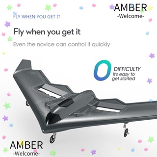 Amber ปีกเครื่องบินบังคับ 2.4G 2 ช่องทาง รีโมตคอนโทรล สําหรับเครื่องร่อนบังคับ B2