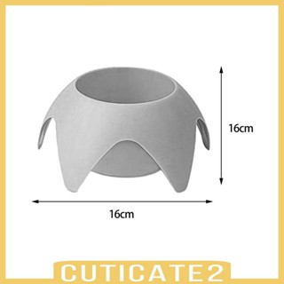 [Cuticate2] ที่วางแก้วเครื่องดื่ม เหมาะกับชายหาด ฤดูร้อน เทศกาล 5 ชิ้น