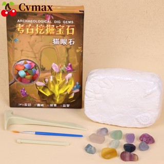 Cvmax กล่องปริศนา หินคริสตัล รูปดาวเคราะห์ สมบัติโจรสลัด หลากสี สําหรับตกแต่งบ้าน