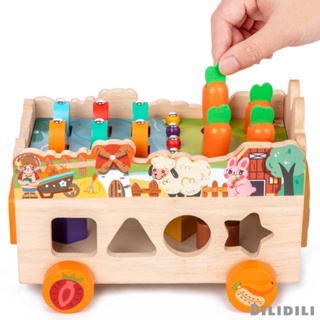 ของเล่นไม้ Montessori เสริมการเรียนรู้เด็กวัยหัดเดิน [สี]