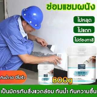 ตกแต่งใหม่ใน 6 วินาที รีเฟรชผนัง ครีมซ่อมผนัง ขจัดคราบ กันน้ำ กันเชื้อรา ไม่มีกลิ่นแปลก ครีมปูนกันน้ำ ปูนกาวซ่อมผนัง