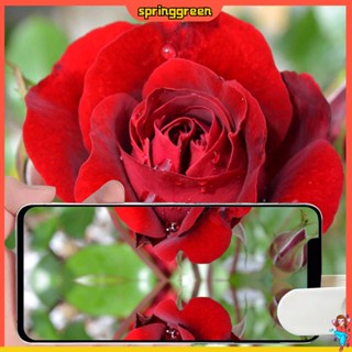 สปริงเกรน| คลิปกระจก อเนกประสงค์ ปรับได้ ติดตั้งง่าย สําหรับถ่ายภาพ