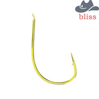 Bliss เหยื่อตกปลา เหยื่อตกปลาทะเล เหยื่อตกปลาคาร์พ อุปกรณ์ตกปลา ตะขอตกปลาหนาม